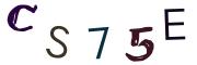 Image CAPTCHA