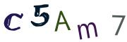 Image CAPTCHA